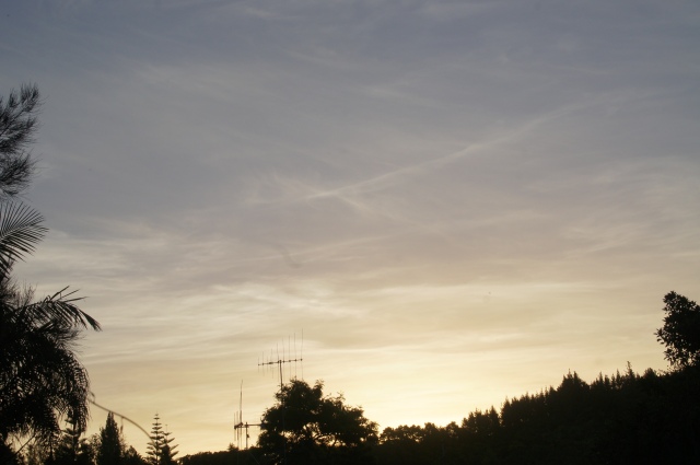A sky thick with aerosol trails. Photo taken from Whangarei, looking west on New Year's day at about 8.26pm.